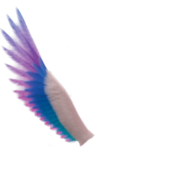 ala